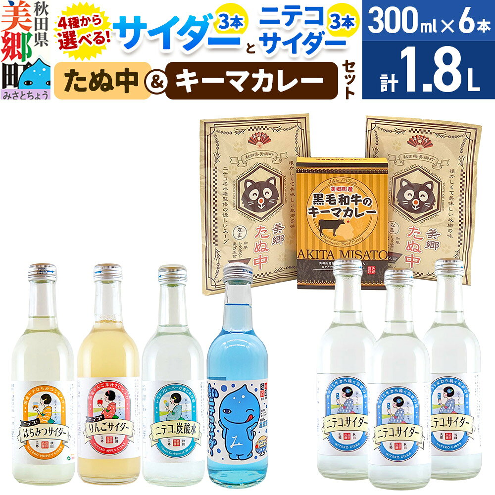 【ふるさと納税】ニテコサイダー3本＋【選べる炭酸飲料：りんごサイダー／青いミズモサイダー／はちみつサイダー／ニテコ炭酸水】各3本とたぬ中・キーマカレーのセット [ニテコサイダー ご当地 サイダー 炭酸飲料 炭酸水 カレー キーマカレー レトルト 中華麺]