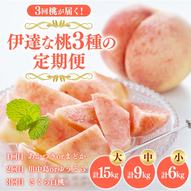 【ふるさと納税】【先行予約】3回桃が届く！伊達な桃3種の定期便（小・中・大）桃 各2kg～5kg 果物 フルーツ 桃 モモ もも 福島県 伊達市 フルーツ 果物 もも モモ momo F20C-788var