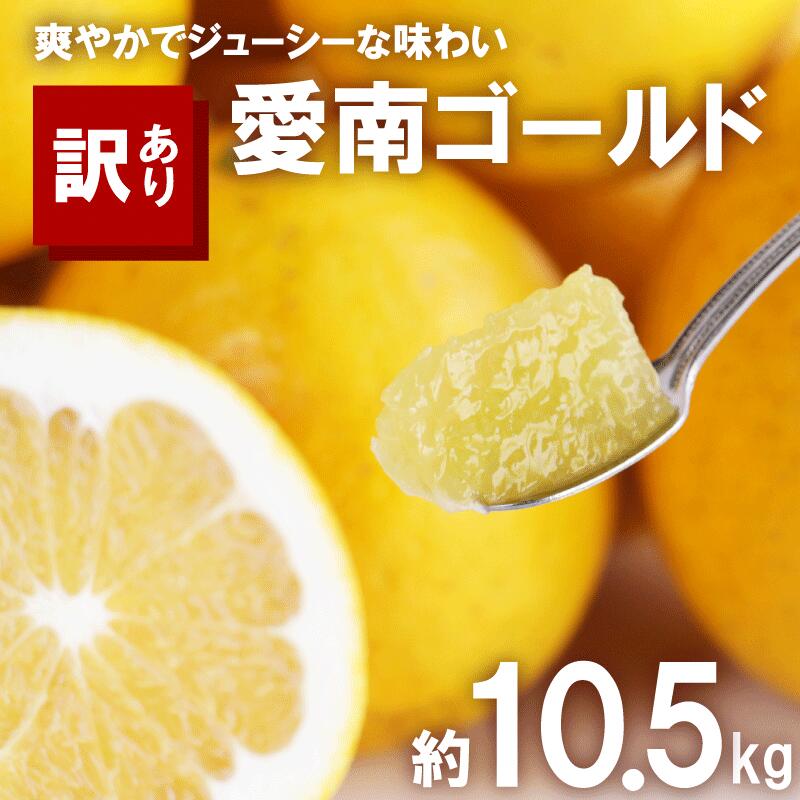 【ふるさと納税】 訳あり 河内晩柑 10.5kg サイズミックス 10000円 みかん かわちばんかん ミカン mikan わけあり 愛南ゴールド 家庭用 美生柑 文旦 派生 国産 期間限定 数量限定 特産品 人気 限定 甘い おいしい 小玉 含む 果物 柑橘 蜜柑 規格外 大樹農園 愛南町 愛媛県