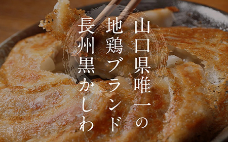 長州黒かしわ餃子 48個入り 手作り 生餃子 餃子 国産野菜 冷凍 化学調味料不使用 化学調味料無添加 らいちの餃子 黒かしわ 長州黒かしわ F6L-951