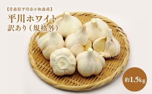 
                  2026年産　出荷予定：8月上旬～12/28【青森県平川市小和森産】平川ホワイト 訳あり（規格外）約1.5kg ホワイト六片種 ホワイト6片種 にんにく ニンニク ガーリック 青森県 平川市 小和森産 小山内組 野菜 白にんにく 白ニンニク 規格外 わけあり ワケあり ワケアリ 不揃い 不揃い品 平川市産
                