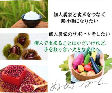 丹波産黒豆茶5箱セット ほうじ茶2箱 ルイボスティー3箱 黒大豆茶 健康茶 お茶 ノンカフェイン 黒豆 くろまめ 黒まめ茶 ブレンド茶 詰め合わせ お取り寄せ 兵庫県 丹波市