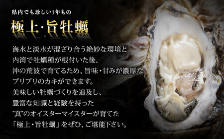 【2025シーズン受付開始！】11月中旬から順次発送予定 奥松島産 極上 カキ詰合せ カキむき身500g1本＋殻付きカキ8個 牡蠣 かき カキ 殻付き牡蠣 剥き身