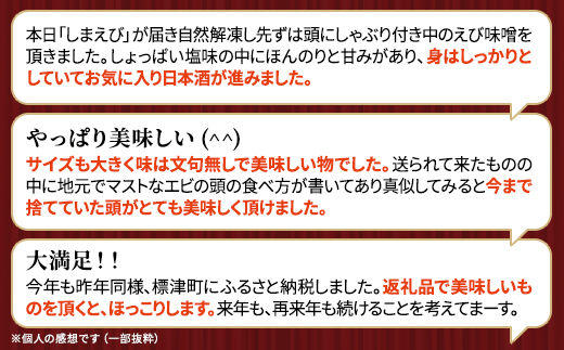 北海道産　ボイル北海しまえび【3D凍結】　大　400g×1【配送不可地域：離島】
