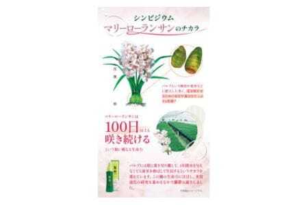蘭夢 シャンプー コンディショナー 2本
