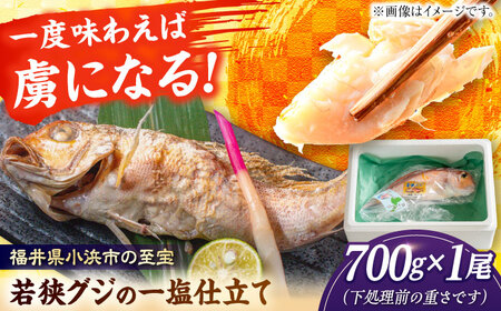 若狭グジの一塩仕立て 700g×1尾 [B-094002]