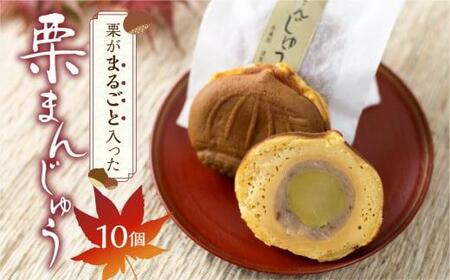 栗がまるごと入った 栗まんじゅう 10個 | おかし お菓子 和菓子 くり 栗 饅頭 まんじゅう お饅頭 おやつ お茶請け 冷凍 短冊熨斗のみ ギフト プレゼント バレンタイン ホワイトデー 母の日 飛騨高山 金亀館 KV002