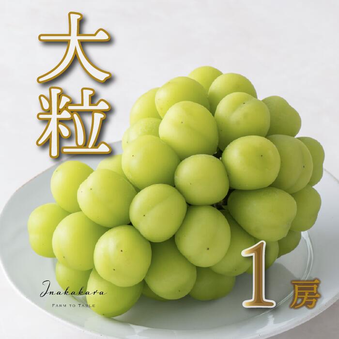 【ふるさと納税】【2026年発送★先行予約】Inakakara 一宮の大粒&大房シャインマスカット1房 (約700g） ふるさと納税 おすすめ ランキング シャインマスカット 大粒 笛吹市 国産 人気 期間限定 ぶどう ブドウ 葡萄 旬 果物 フルーツ 山梨県 送料無料 192-001