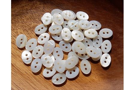 No.066 WATAKUMI　白シャツ　HIYOKU（L）