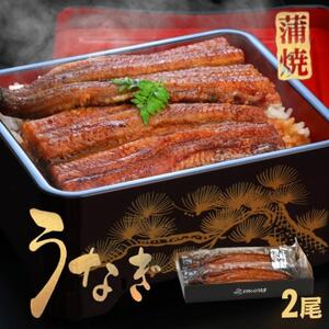 《2尾入》うなぎ蒲焼　化粧箱入り　地元老舗うなぎ加工会社より真空でお届け!【配送不可地域：離島】【1696773】