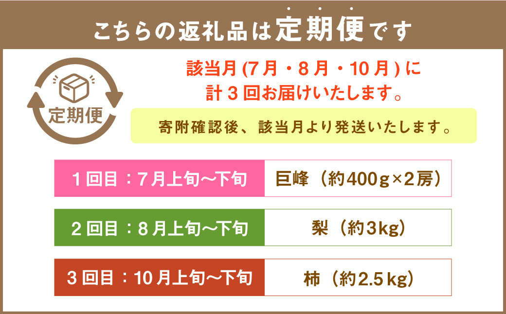 【年3回定期便】【2024年7月上旬発送開始】 くまもと 夏秋 フルーツ 定期便 ( 巨峰 ・ 梨 ・ 柿 )  
