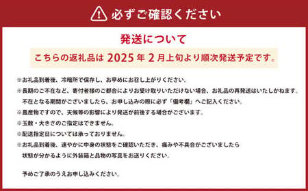 熊本県産 デコみかん 5kg×2箱 合計約10kg 粒揃い 不知火 柑橘類 【2025年2月上旬発送開始】