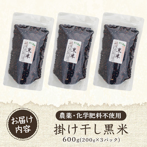 《栽培期間中農薬化学肥料不使用》掛け干し黒米(計600g・200g×3パック) 国産 九州産 鹿児島産 湧水町産 黒米 お米 米 おこめ 600g 化学肥料不使用 農薬不使用 有機 有機農業 有機肥料
