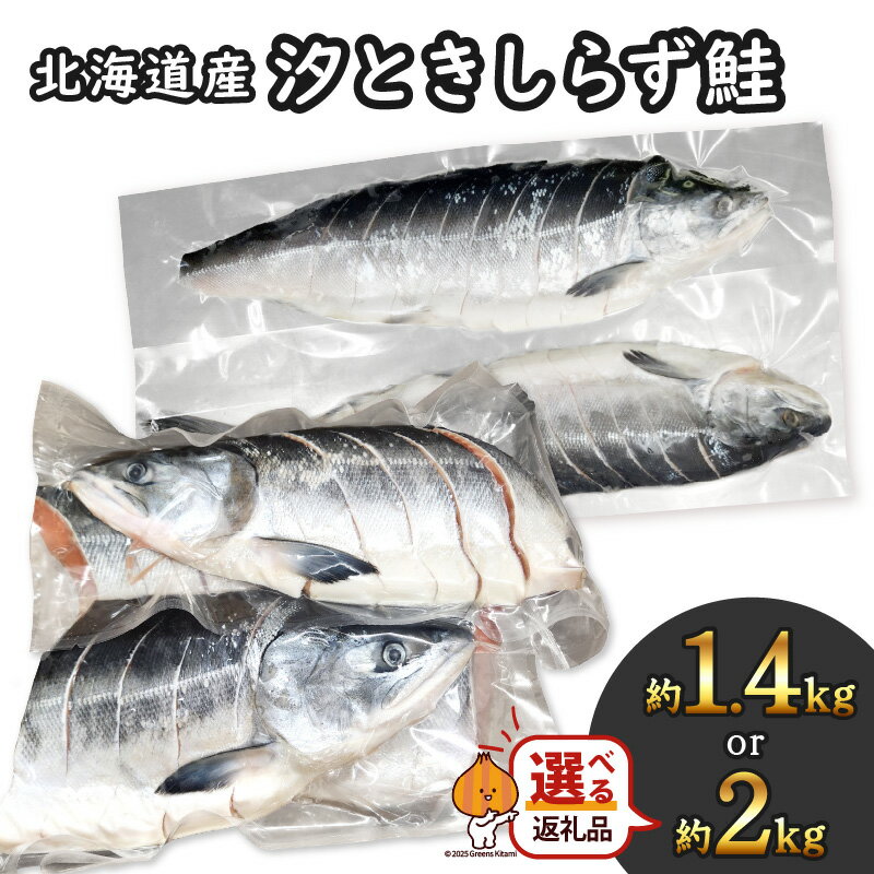 【ふるさと納税】北海道産 汐ときしらず鮭 約1.4kg 約2kg 切り身姿造り 切身4分け造り