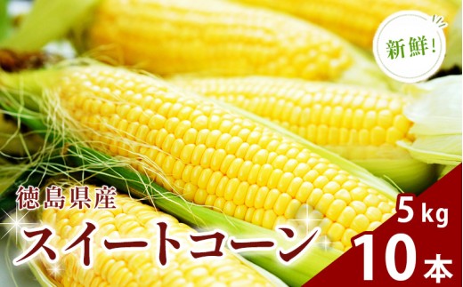 【 先行予約 出荷2026年8月～ 】スイートコーン おおもの 5kg 10本 徳島県産 甘い とうもろこし ゴールドラッシュ 大きい サイズ 野菜 BBQ 産地直送 徳島県 三好市 朝採れ 冷蔵 高糖度 スープ サラダ コロッケ トウモロコシ ギフト お中元 バーベキュー