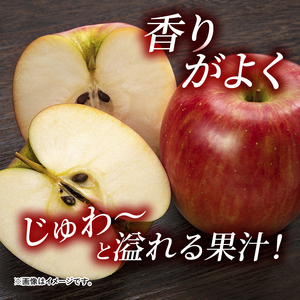 志賀高原の麓で育った シナノドルチェ （家庭用）約10kg 【 りんご 10kg フルーツ 長野 】