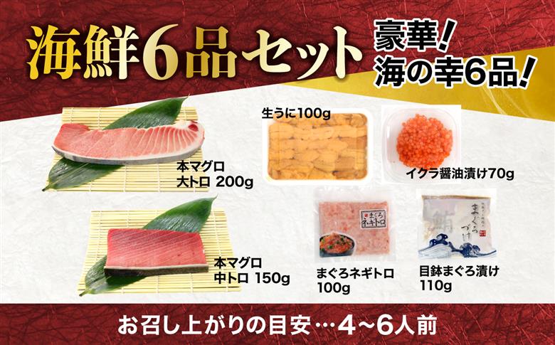【定期便/計3回】福袋 海鮮 海鮮福袋 6品 海鮮セット 本マグロ マグロ 大トロ 中トロ ウニ イクラ ネギトロ 海鮮丼 手巻き寿司 約4から6人前【DG002-t3】 【定期便/計3回】