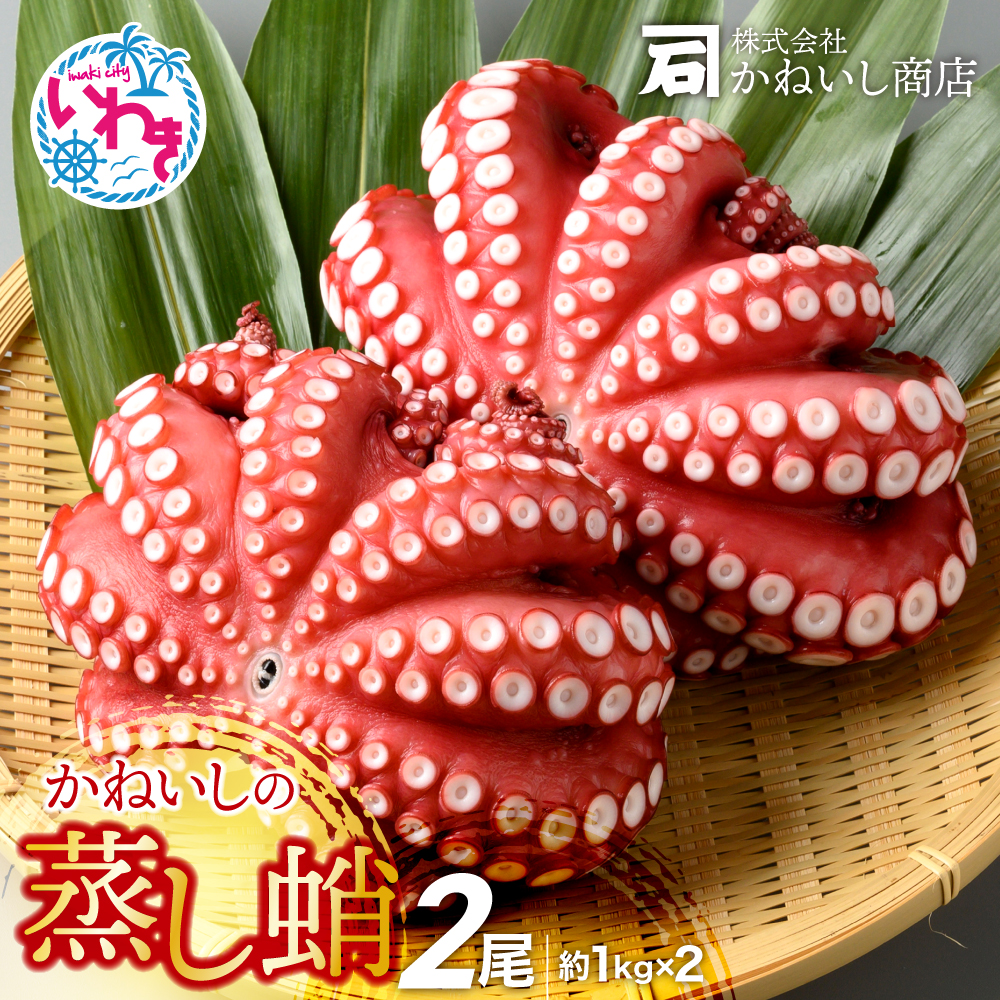 かねいしの蒸し蛸2尾【約1kg×2尾】 BU002-2kg-r7