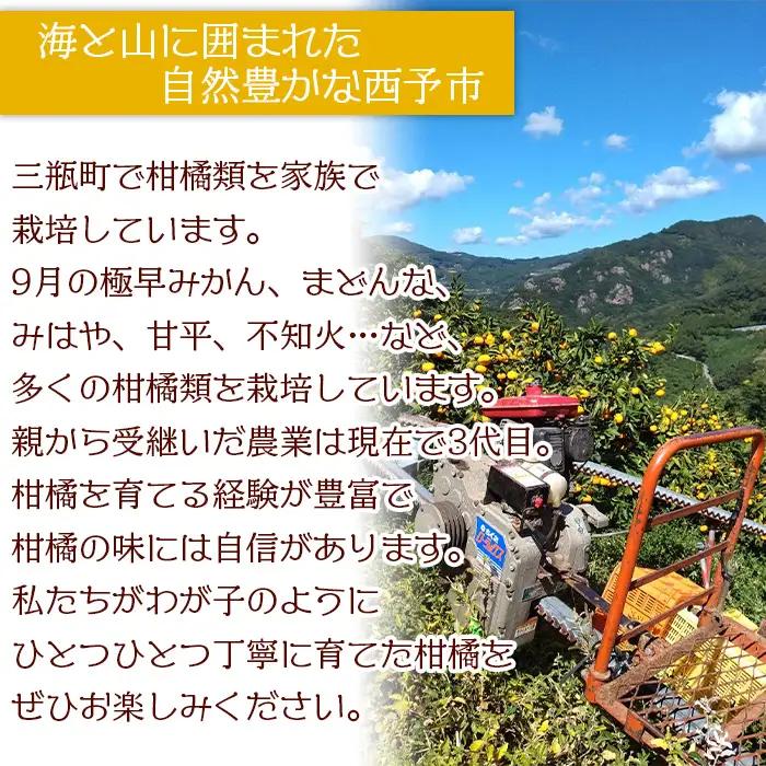 ＜極早生みかん 約4kg（家庭用・SS～Mサイズ混合） ＞ 果物 オレンジ フルーツ 柑橘 食べて応援 特産品 山本果樹園 西宇和 愛媛県 西予市 【常温】『2026年9月中旬～10月上旬までに順次出
