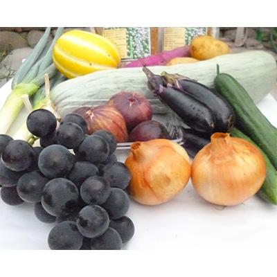 ふるさと納税 勝山市 手作り青大豆味噌2袋と季節の野菜5〜10種類 |  | 02