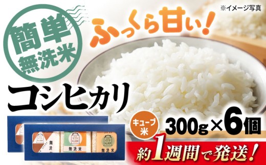 【スピード発送】【令和7年産】 無洗米 コシヒカリ キューブ 2合[300g×6個] 長浜市/阿辻農園[AQAW009] コシヒカリ こしひかり 無洗米 真空パック 米 お米 小分け 魚のゆりかご水田 長浜市産 こめ 白米 精米 お米  食品 国産 炊きたて 米ギフト もちもち ブランド米  食卓 美味しい 人気 ごはん ご飯 おにぎり おすすめ プレゼント 贈答