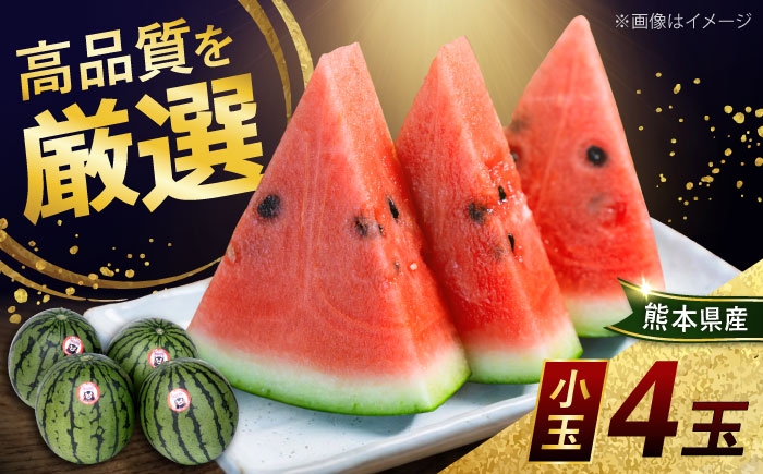 
                  熊本県産 小玉 スイカ (4玉) 計約8kg 2L階級 西瓜 すいか ひとりじめ 【菊池地域農業協同組合】 [AYBR009]
                