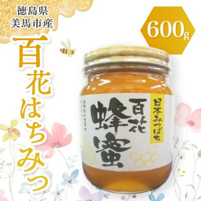 ふるさと納税 美馬市 徳島県美馬市産日本はちみつ　百花はちみつ　600g