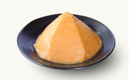 【3カ月定期便】きのくにみそ（合わせ麹）すり 計4.8kg（1.6kg×3回） / 味噌 ミソ 生みそ 調味料 こし味噌 みそ汁 和歌山県 田辺市 【kyj024-tk】