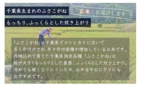 【新米先行受付】令和6年産 千葉県産「ふさこがね」玄米20kg（20kg×1袋） A009