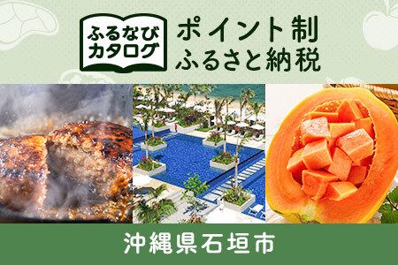 【有効期限なし！後からゆっくり特産品を選べる】沖縄県石垣市カタログポイント