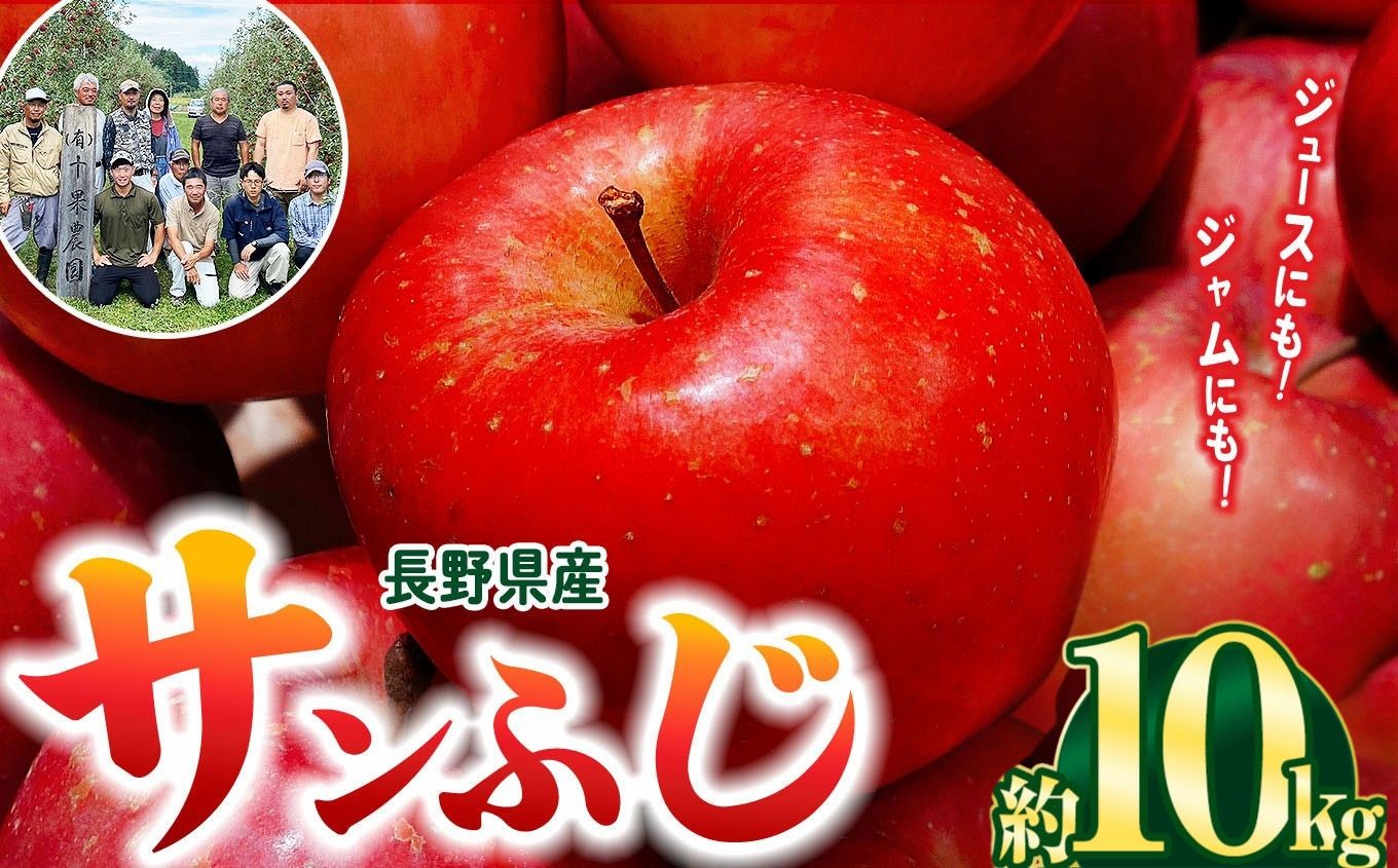 
            【林檎の名産地】信州松本梓川産　サンふじ  10kg(25～50玉)｜ふるさと納税 松本市 サンふじ りんご 林檎  果物 フルーツ 信州 美味しい
          