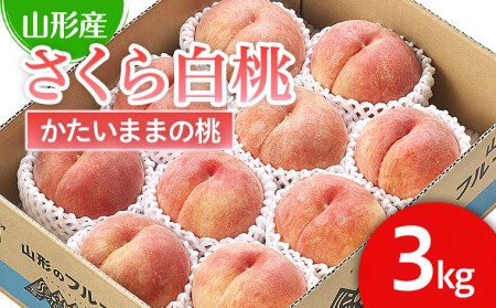 山形市産 桃「さくら白桃」 秀以上 3kg(6玉～9玉)[かための桃] 【令和7年産先行予約】FU22-751 くだもの 果物 フルーツ 山形 山形県 山形市 2025年産