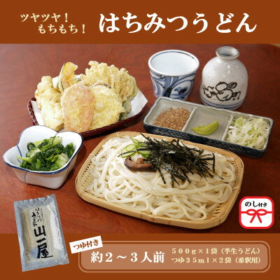 【ふるさと納税】【のし付き】はちみつうどん500g×1袋　約2～3人前(半生うどん)【1507021】