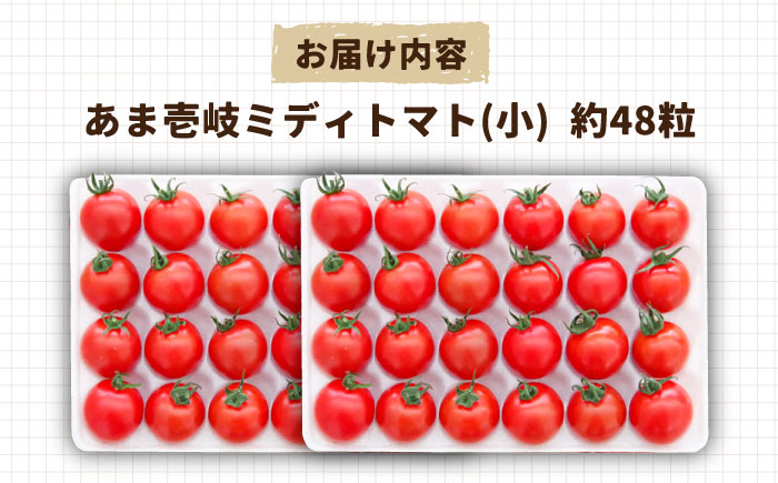 あま壱岐 ミディトマト 約48粒 《壱岐市》【壱岐の潮風】 トマト 野菜 [JAE009] 11000 11000円