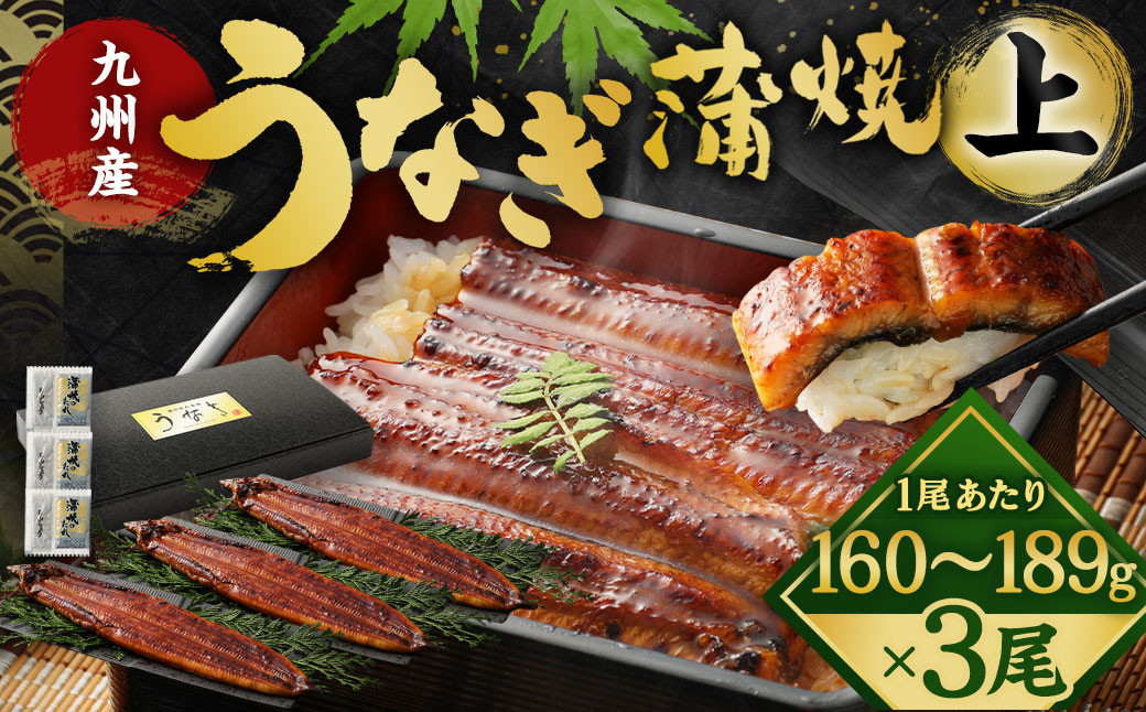 
            九州産 うなぎ 蒲焼 上 3尾 (1尾あたり160～189g)
          