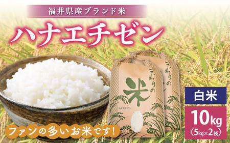 ハナエチゼン 10kg 令和6年 新米 福井県産【白米】【お米 はなえちぜん 華越前 10キロ】 [e30-a069]