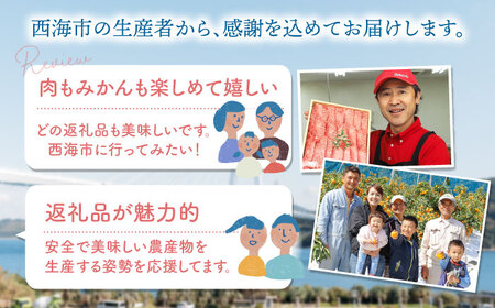 【12回定期便】お肉と果物?見つけた！西海の宝物定期便? [CZZ019] 長崎 西海名物 定期便 贅沢定期便 肉 みかんミカン和牛 豚肉  定期便 贅沢定期便 肉 みかんミカン和牛 豚肉  定期便 