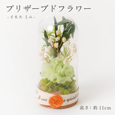 ふるさと納税 羽島市 プリザーブドフラワー ガラスドーム型アレンジ 【イネス ミニ(グリーン)】