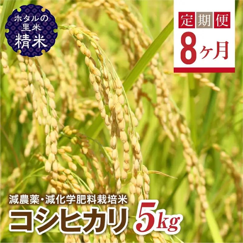  ＜定期便8ヶ月＞【ホタルの里米】環境に配慮し農薬を減らした栽培米 コシヒカリ精米5kg  F4D-2274