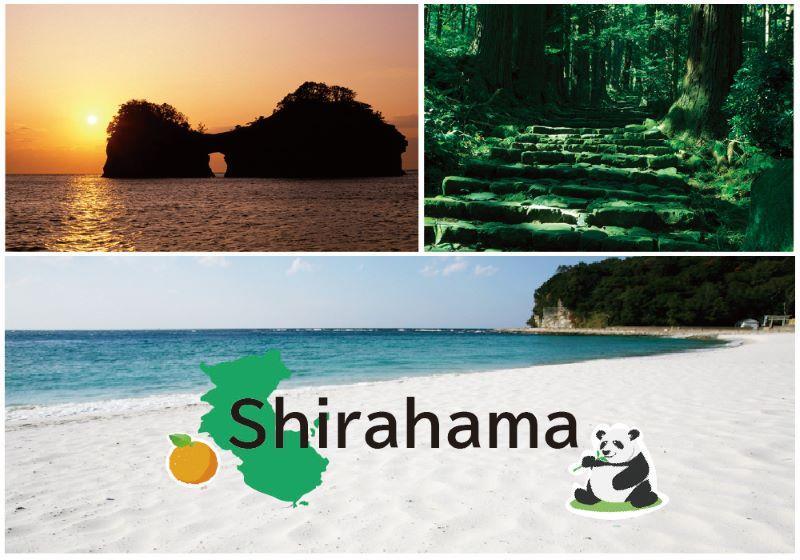 紀州南高梅　口熊野（かつお）1kg