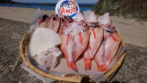 しまね浜田の美味しいのどぐろ あじ カレイ 白いか 一夜干しセット 魚介類 魚貝類 魚 干物 干もの 一夜干し おかず つまみ セット 詰め合わせ 父の日 【161_1709】