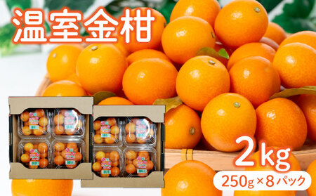 【先行予約】温室金柑 2㎏(250g×8パック)
