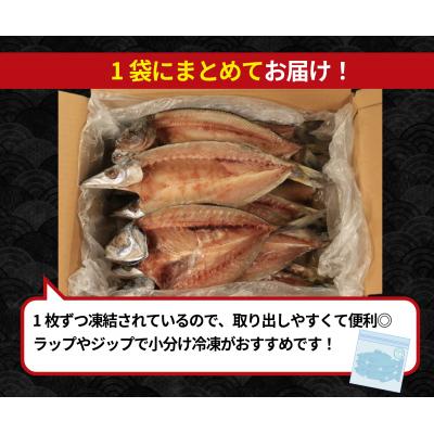 ふるさと納税 小松島市 訳あり 干物 約4.4kg 詰め合わせ ホッケ サンマ アジ カマス 和田島産 徳島県 小松島市 |  | 03