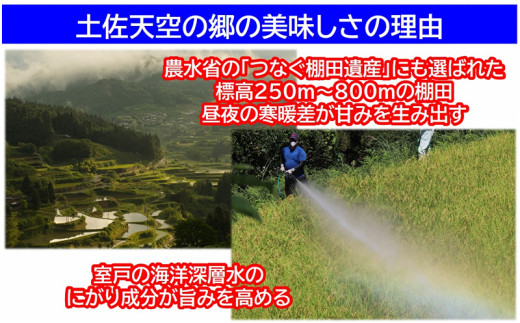 【新米予約】令和7年産 土佐天空の郷 ヒノヒカリ 10kg 農林水産省の「つなぐ棚田遺産」に選ばれた棚田で育てられた棚田米