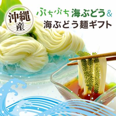 ふるさと納税 糸満市 「ふくらむぷちぷち海ぶどう」を海ぶどう麺と食す贈り物 沖縄県 糸満市