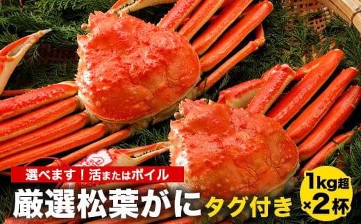 
            755.【選べます！活またはボイル】≪2025年11月発送≫ 特撰 松葉がに【ブランドタグ付き】 1kg超の大きいサイズ 食べ応えあり 特大2杯（1kg超×2杯）【松葉ガニ 松葉蟹 松葉かに 蟹 かに 山陰 特大 大きい 活 ボイル タグ付き 鳥取県産 鳥取県 北栄町 おすすめ 人気 新鮮】
          