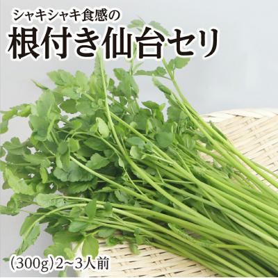 ふるさと納税 名取市 【期間限定】シャキシャキ食感の根付き仙台セリ(300g)2〜3人前|21_lft-310301