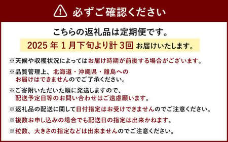 【3回定期便】あまおう 3パック いちご 苺 イチゴ フルーツ 果物【2025年1月下旬～3月下旬発送予定】