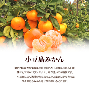 みかん 小豆島みかん 柑橘 フルーツ 国産 みかん【約3kg】