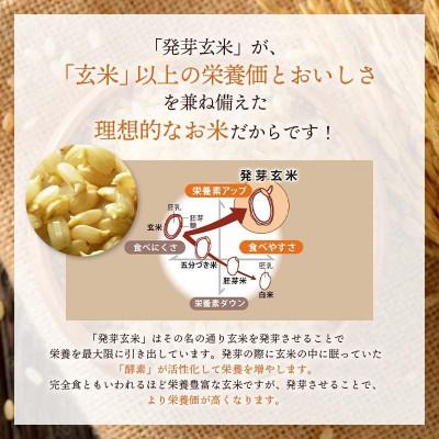 ふるさと納税 九重町 発芽玄米(大分県産ミルキークイーン) 無洗米1.5kg×6袋(9.0kg) |  | 01
